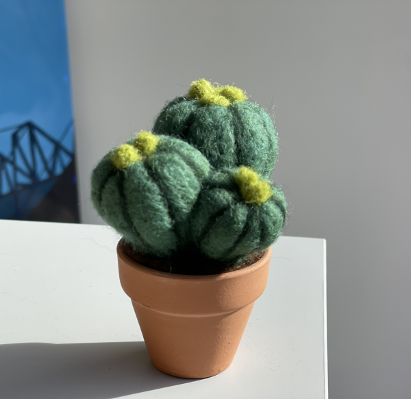 Cute and Root Cactus Plant Pot