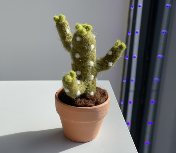 Cute and Root Cactus Plant Pot