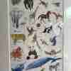 Sarah Gregory Animal ABC print - Image 2
