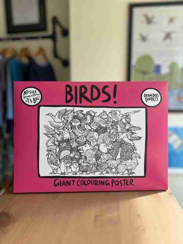 Birds Giant Colouring Poster